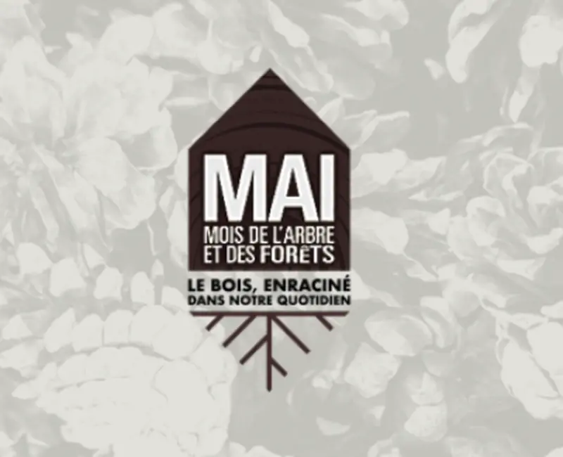 Mois de l'arbre et des forêts | AFAT