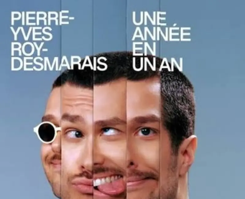 Pierre-Yves Roy-Desmarais | Une année en un an