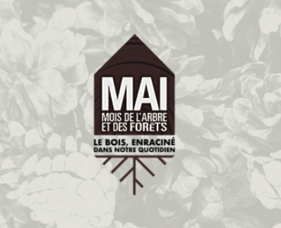 Mois de l'arbre et des forêts | AFAT