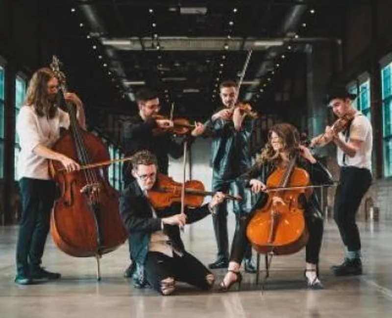 Wooden Shapes : Du classique au rock ! 
