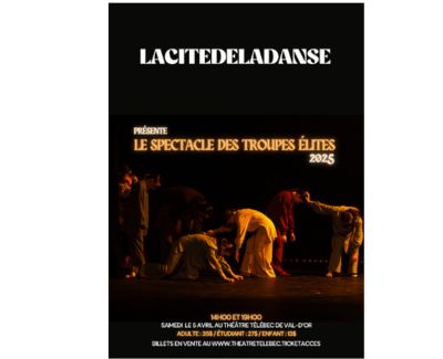 Le spectacle des troupes élites 2025